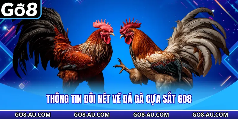 Thông tin đôi nét về đá gà cựa sắt GO8